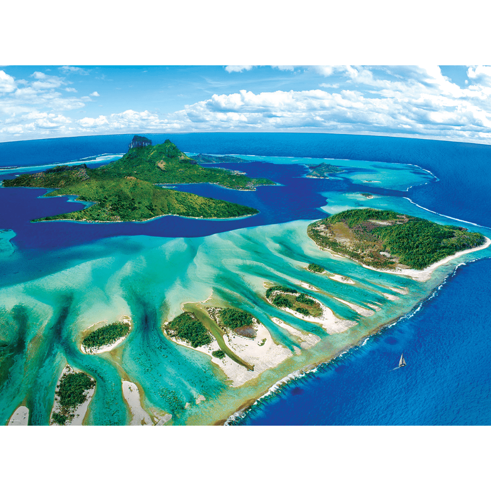 Coral Reef