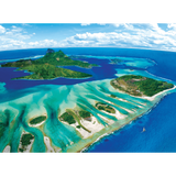 Coral Reef