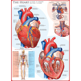 The Heart 1000 piece jigsaw puzzle artwork