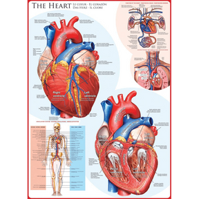 The Heart 1000 piece jigsaw puzzle artwork