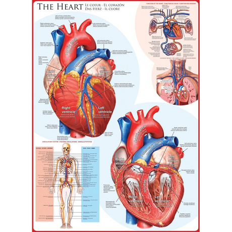 The Heart 1000 piece jigsaw puzzle artwork
