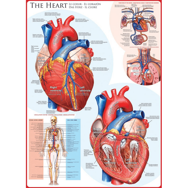 The Heart 1000 piece jigsaw puzzle artwork
