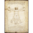 Leonardo Da Vinci: Schema delle Proporzioni jigsaw puzzle artwork
