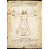 Leonardo Da Vinci: Schema delle Proporzioni jigsaw puzzle artwork