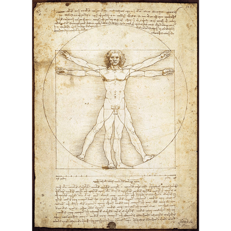 Leonardo Da Vinci: Schema delle Proporzioni jigsaw puzzle artwork