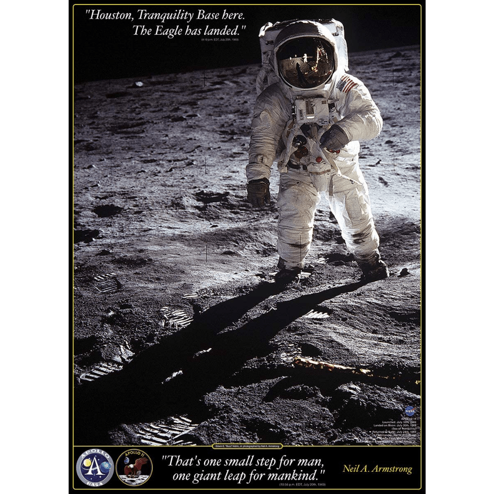Walk on the Moon jigsaw puzzle artwork