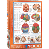 The Brain jigsaw puzzle box