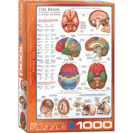 The Brain jigsaw puzzle box