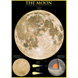 The Moon jigsaw puzzle artwork