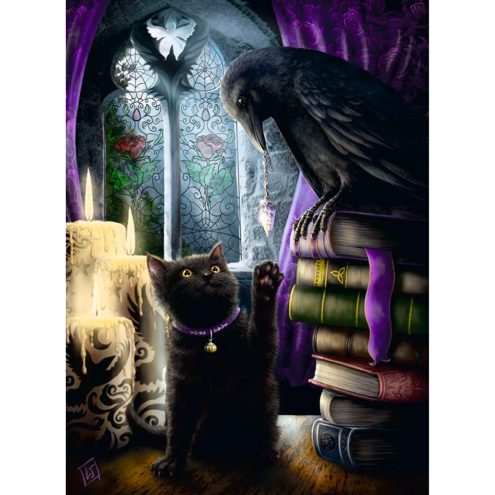 Black Cat and Raven