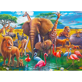Exotic Safari