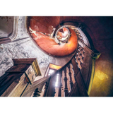 Lost Places: Oak Spiral