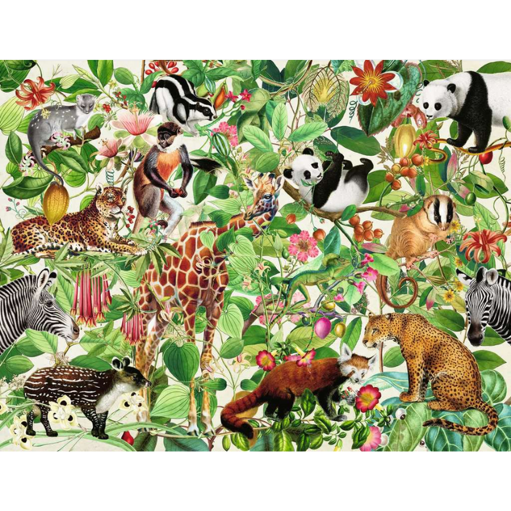 Jungle