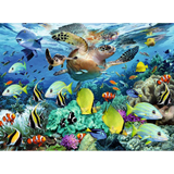 Underwater Paradise