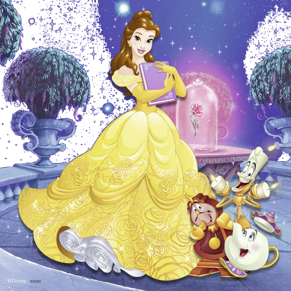 Disney Princess Adventure