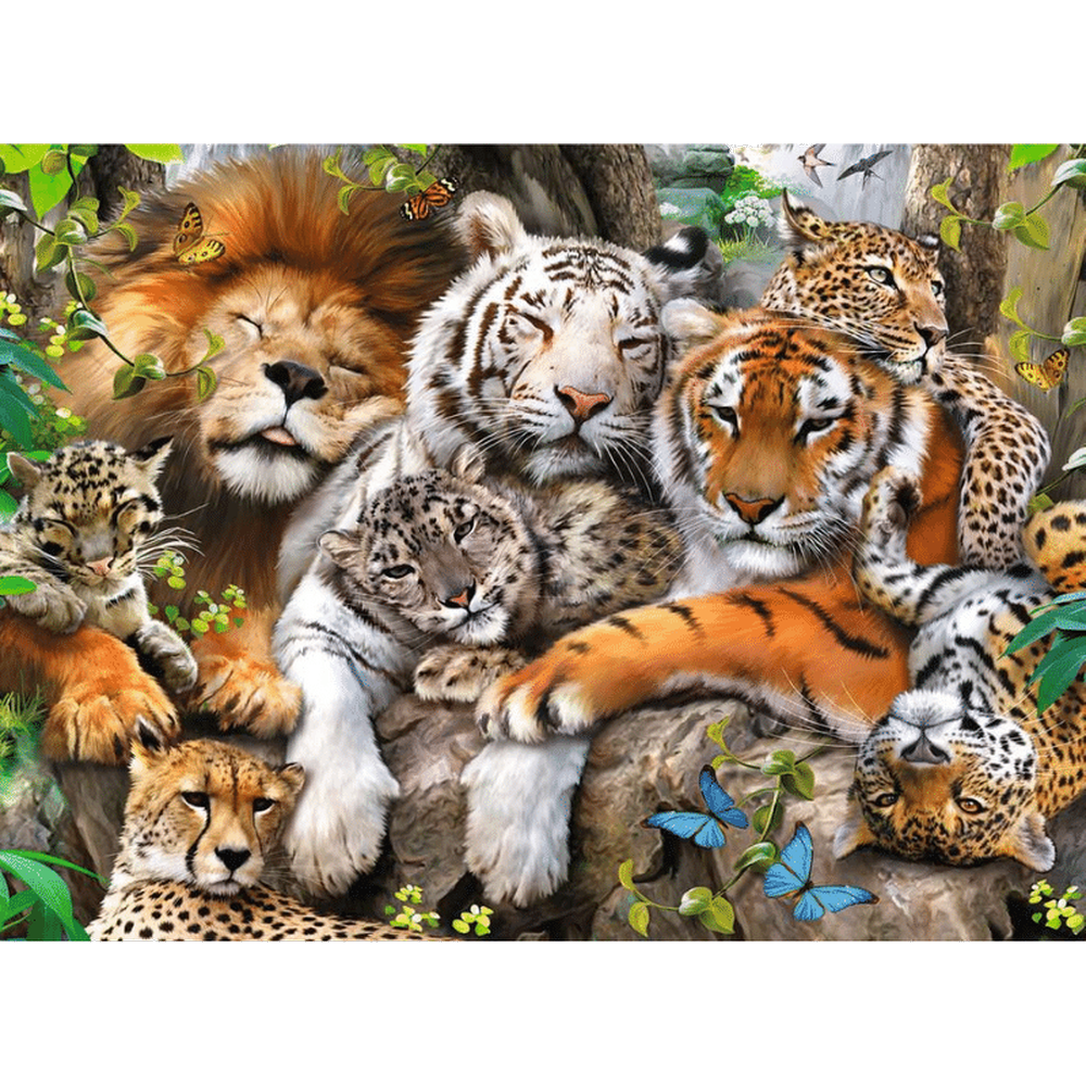 Big Cat Nap