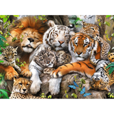 Big Cat Nap