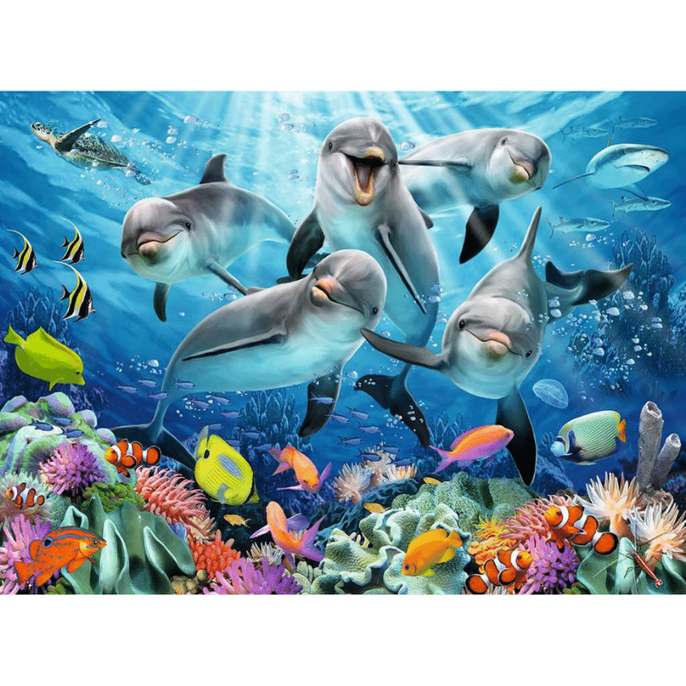 Dolphins