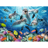 Dolphins