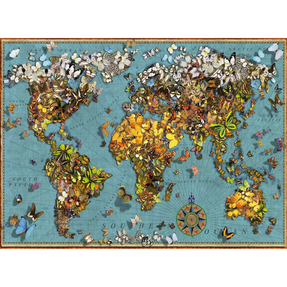 World of Butterflies