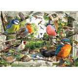 Our Feathered Friends