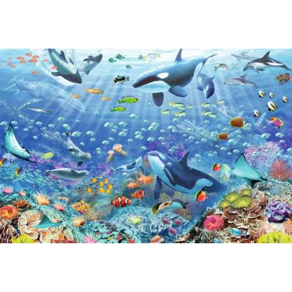 Colourful Underwater World