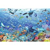 Colourful Underwater World