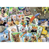 Traveller's Animal Journal