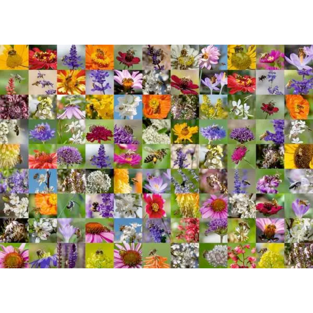 Bee Collage