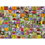 Bee Collage