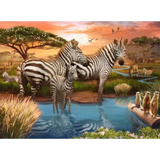 Zebra’s at Waterhole