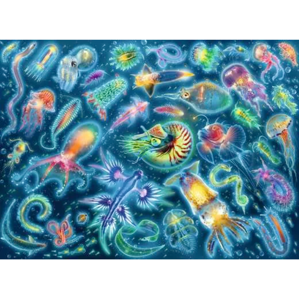 Colourful Underwater Species