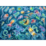 Colourful Underwater Species