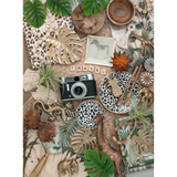 Still Life Vintage