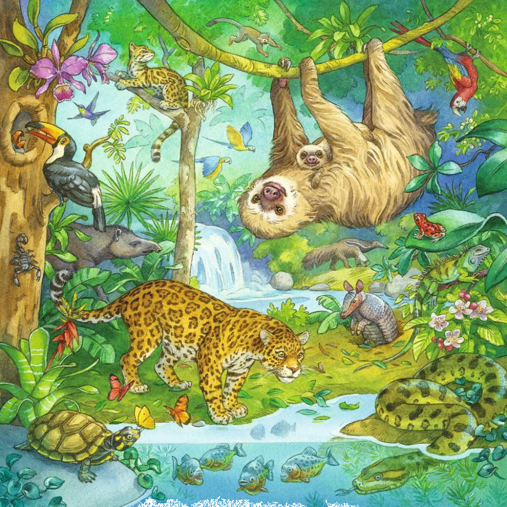 Jungle Fun