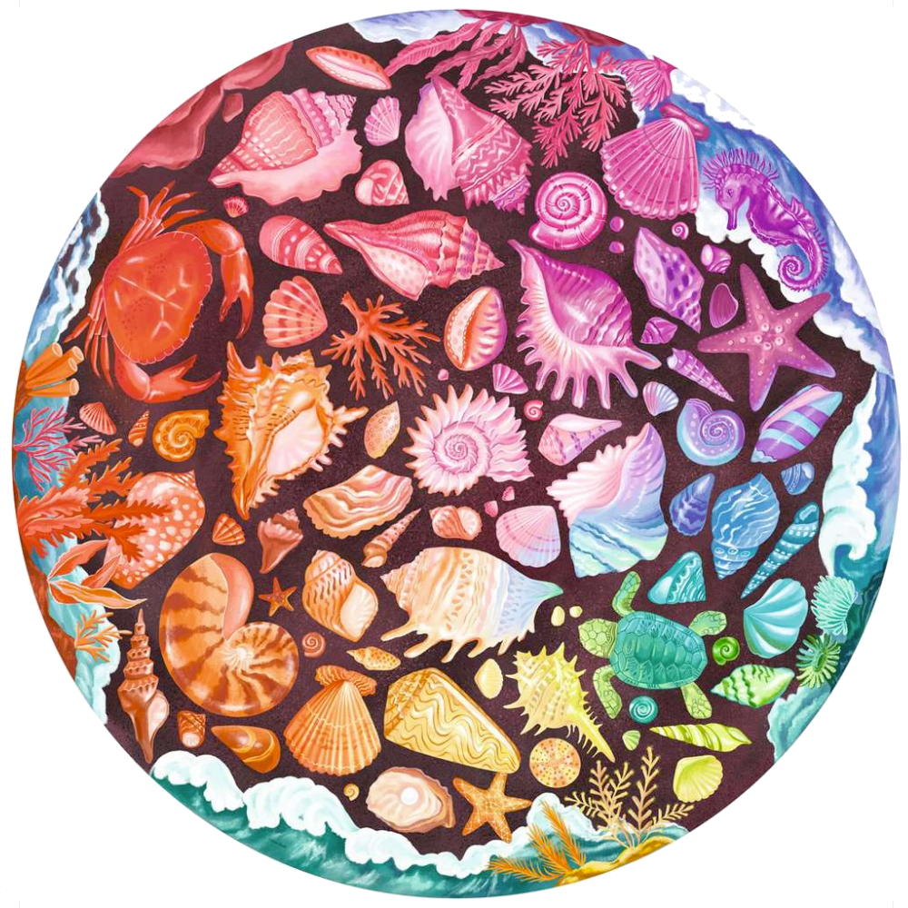 Circle of Colours: Seashells