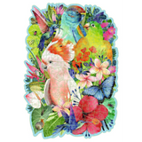 Beautiful Birds