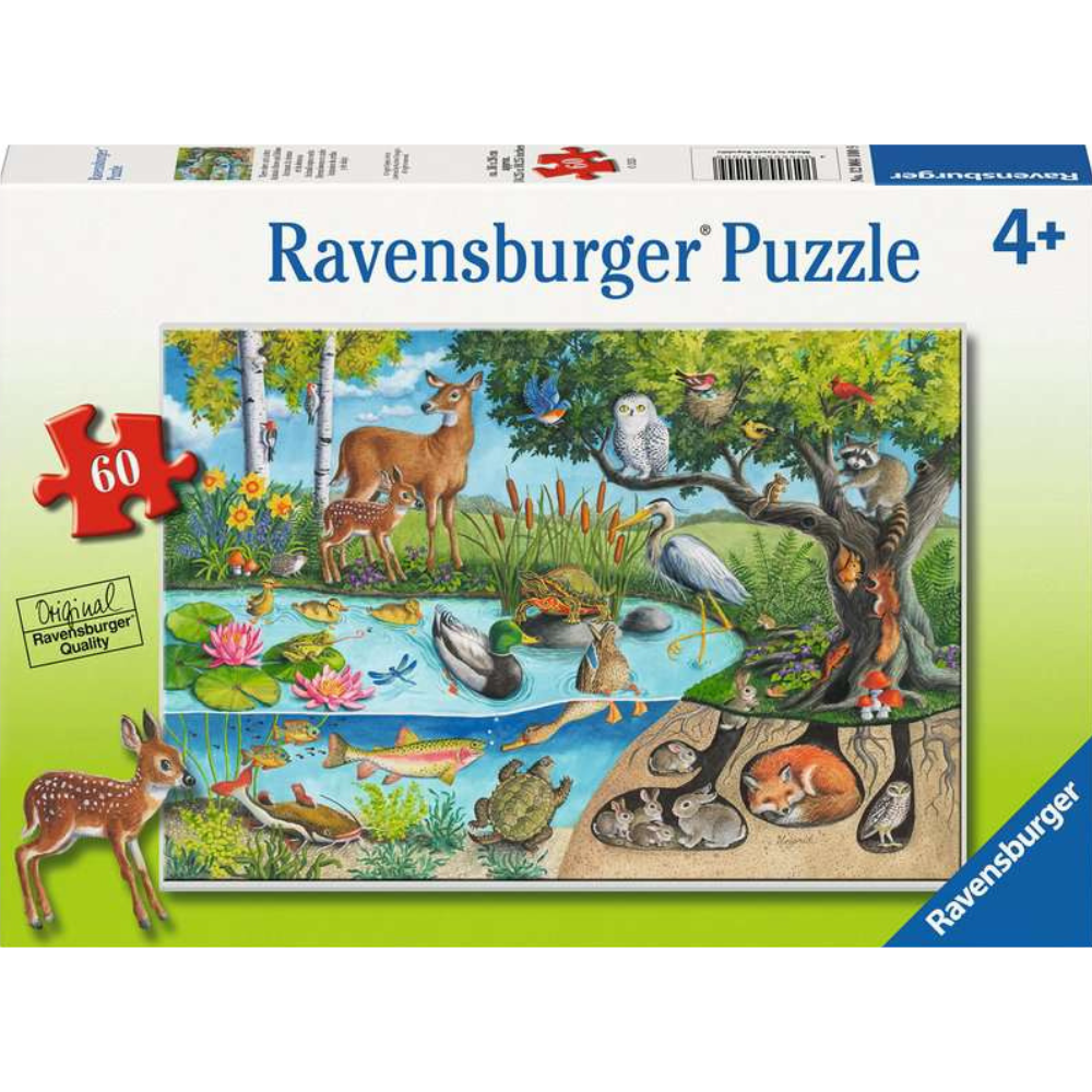 Animals Above & Below