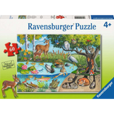 Animals Above & Below