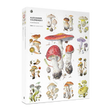 Alexander Viazmensky: Mushrooms