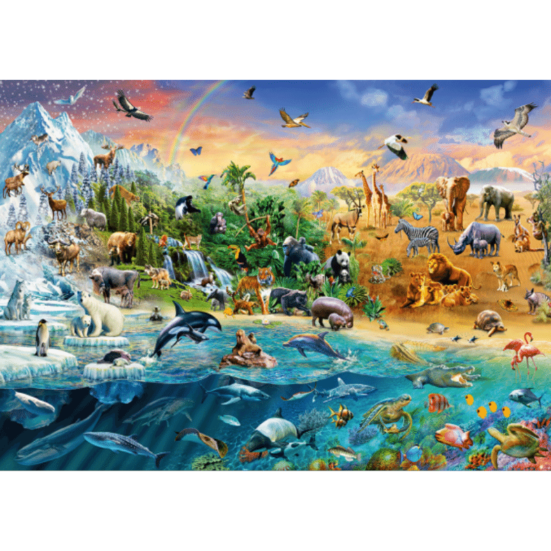 Animal Kingdom - Thirsty Meeples