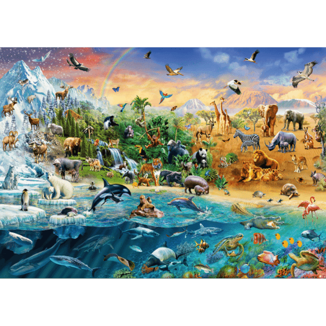 Animal Kingdom - Thirsty Meeples