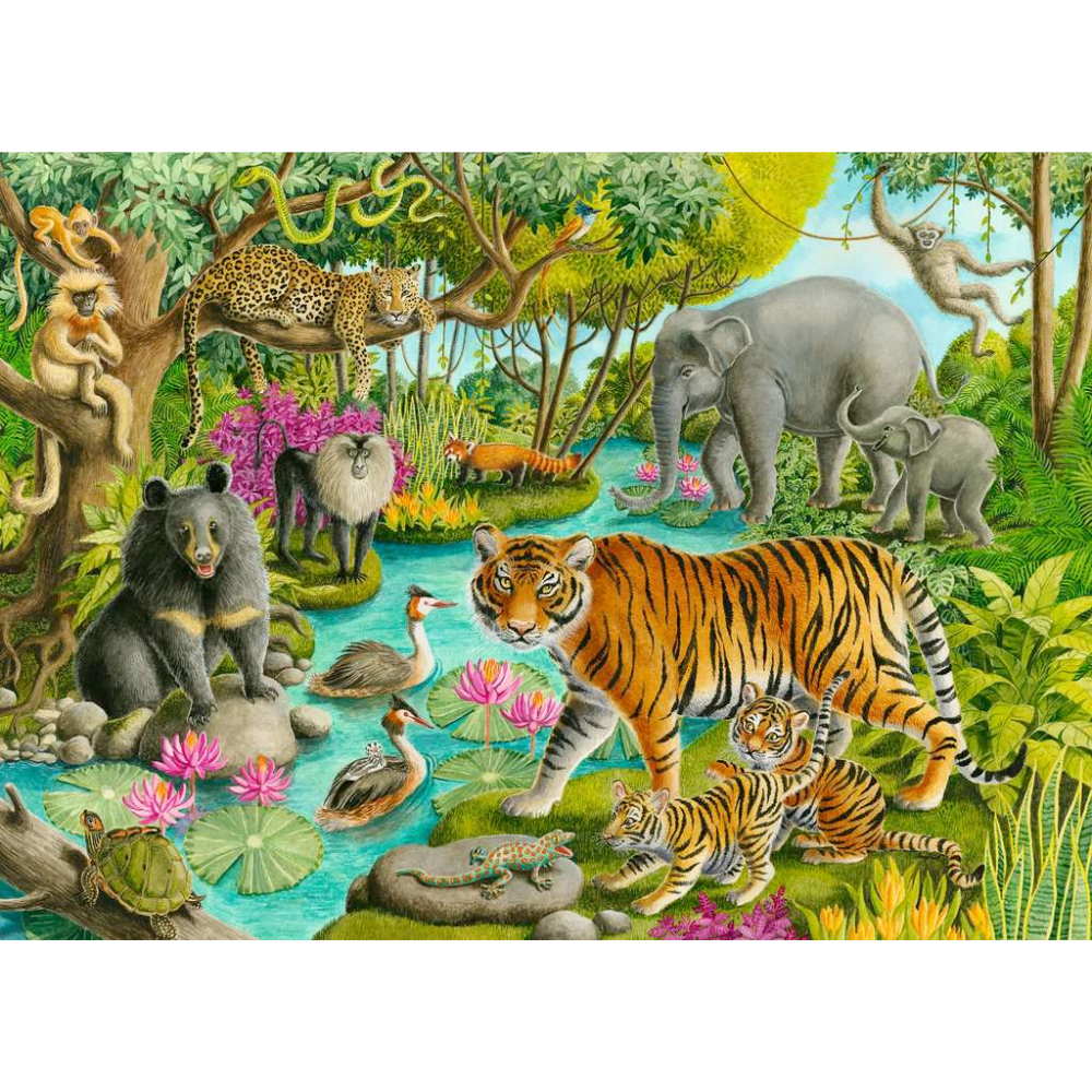 Animals of India