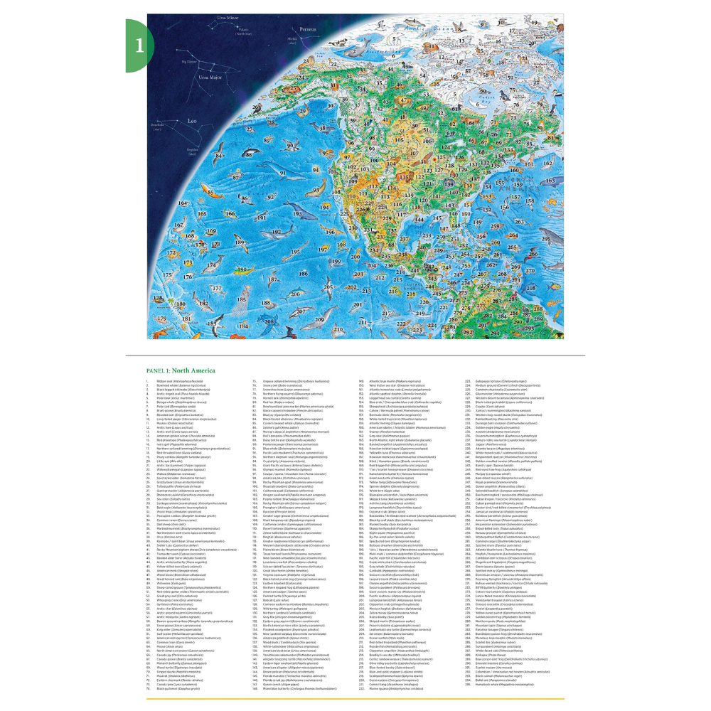 Anton Thomas: Wild World