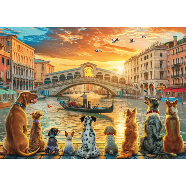 At the Pier - Thirsty Meeples