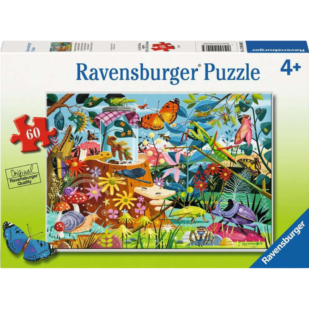 Backyard Bug World - Thirsty Meeples