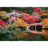 Beautiful Gardens - Kyoto, Japan