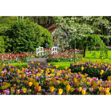 Beautiful Gardens - Netherlands