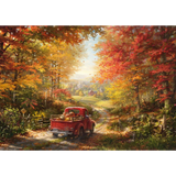 Blend Cota: Back Home