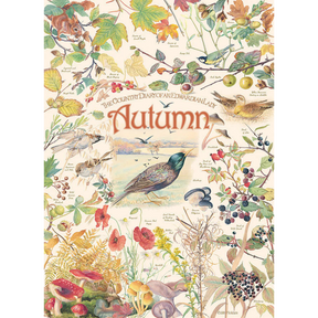 Country Diary: Autumn - Thirsty Meeples
